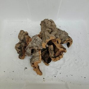 Mix liège Morceaux XS 100gr