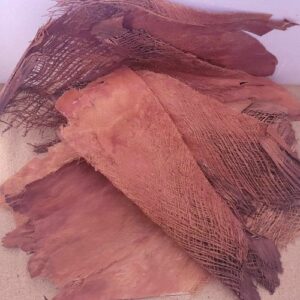 Ecorce de Palmier Bakla Marron +-100gr (Phoenix dactylifera)