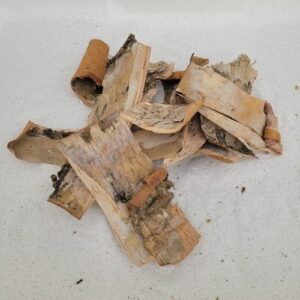 Ecorce de bouleau vrac 50gr