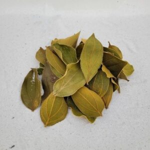 Feuilles de quina (Strychnos pseudoquina) 10gr sous kraft